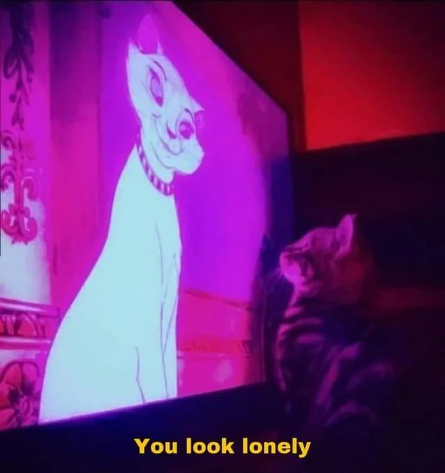 A ostensibly female-presenting cat on a TV screen looks down at a kitten and says, “You look lonely”. The kitten is looking up at the cat on the screen. There is heavy pink/purple glow. This is a cat-based recreation of a scene in Blade Runner 2049.