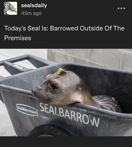 Today's Seal Is: Barrowed Outside Of The Premises  [image of a wet seal in a wheelbarrow labled "sealbarrow"]